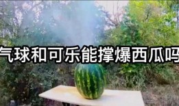 西瓜视频爆料可乐,可乐品牌新动向，揭秘幕后故事